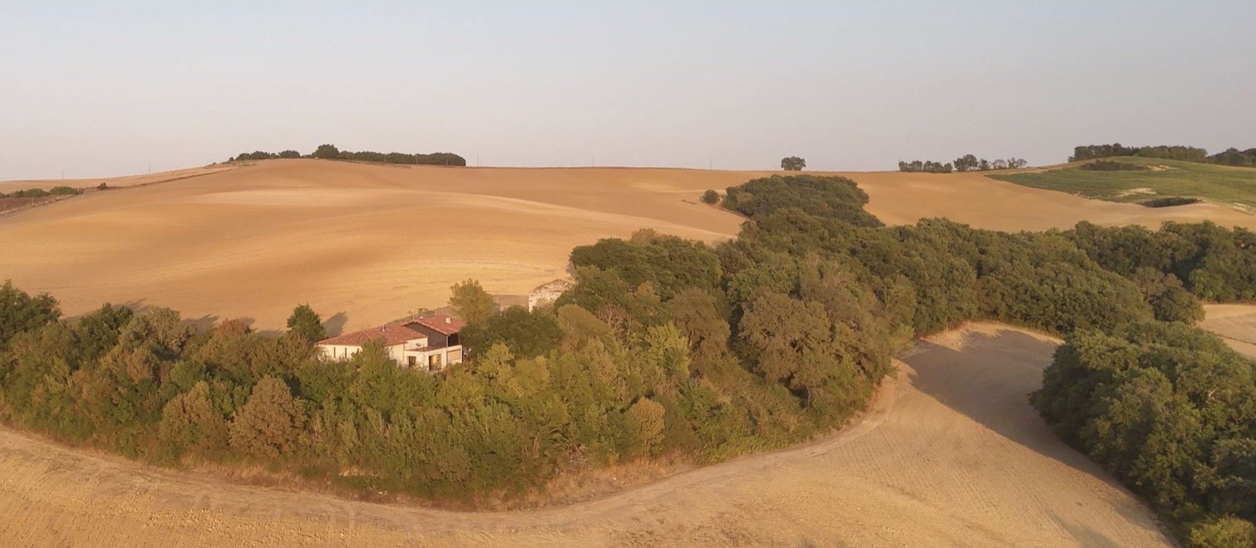 La Grange nichée dans son bois, au milieu des champs dorés d'Occitanie