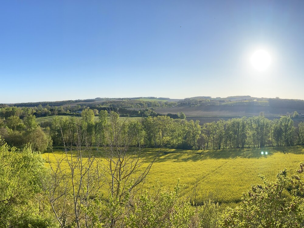 Le vallon en été, depuis la terrasse