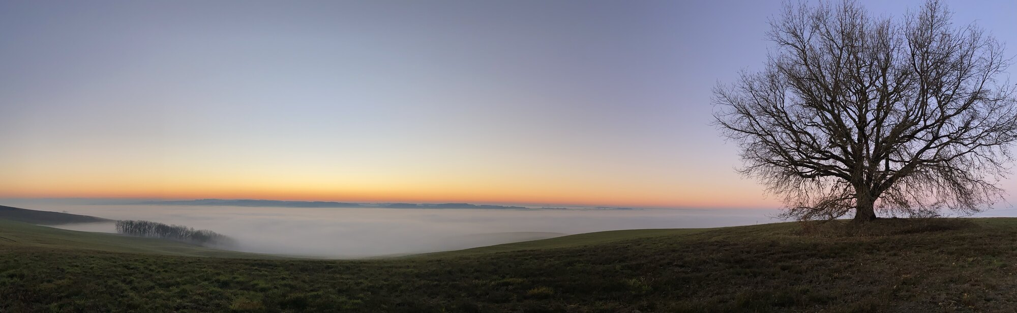 Mer de nuages au lever du jour sur la vallée, un arbre seul au bord du coteau — la vue depuis La Grange en Occitanie